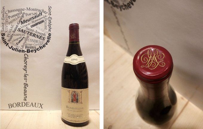 Bourgogne 1995 - Mugneret-Gibourg