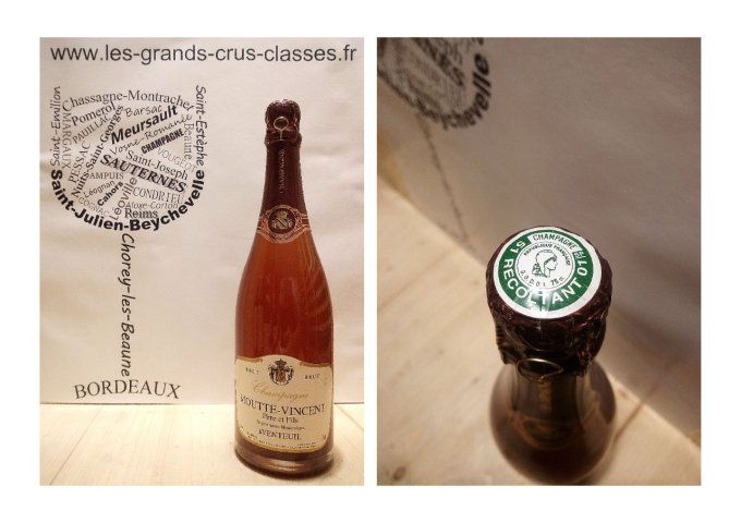 Champagne Brut - Vincent Moutte – Rosé