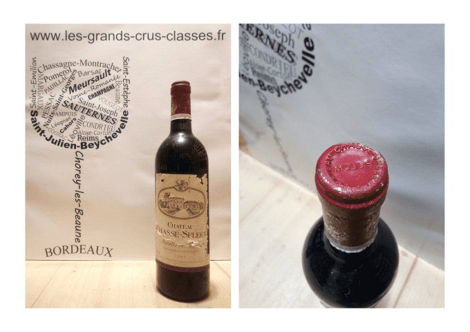 Château Chasse-Spleen 1995