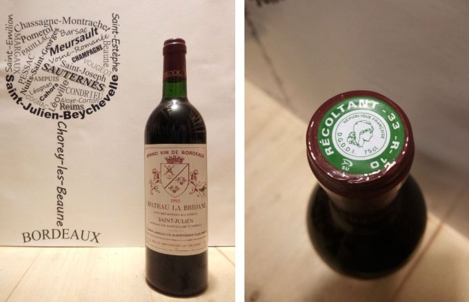 Château la Bridane 1995 - x6