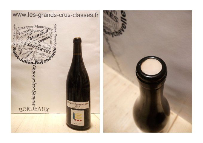 Côteaux Bourguignons 2019 – Gamay – Domaine Prieuré Roch