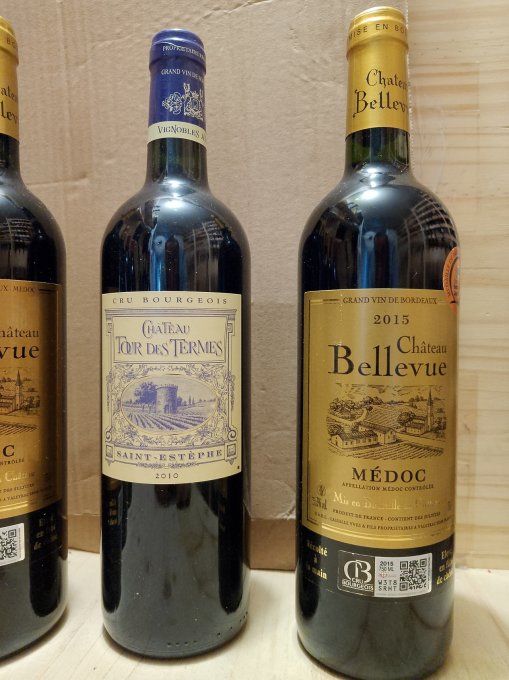 6 x 75 cl - Crus Bourgeois - LOT 1