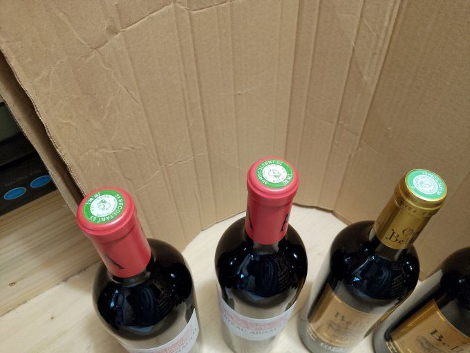 6 x 75 cl - Crus Bourgeois - LOT 1