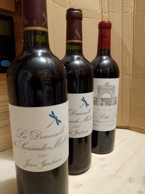 9 x 75 cl - Second Vin de Bordeaux