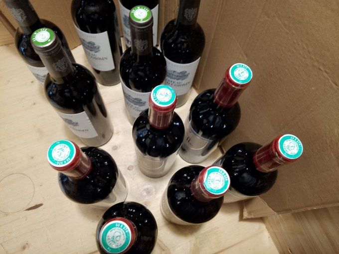 12 x 75 cl - Saint Emilion Grand Cru