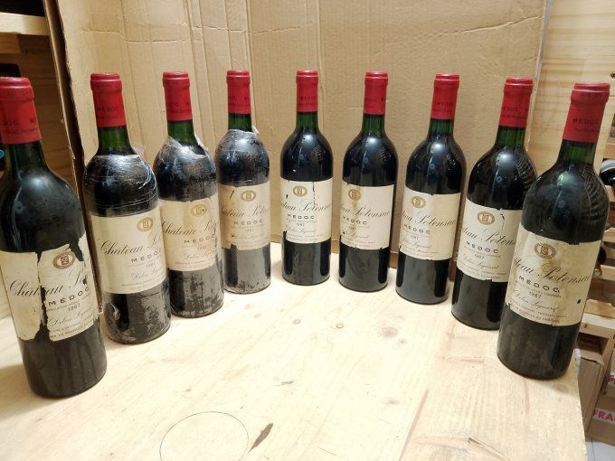 9 x 75 cl - Château Potensac 1987